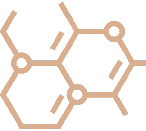 Equilíbrio Hormonal